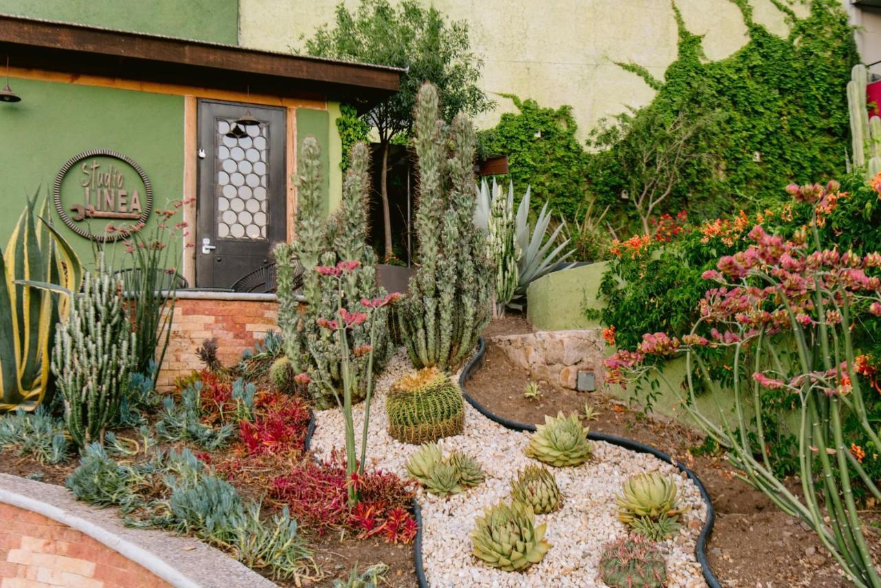 Terra Vista Apart otel Guanajuato Dış mekan fotoğraf