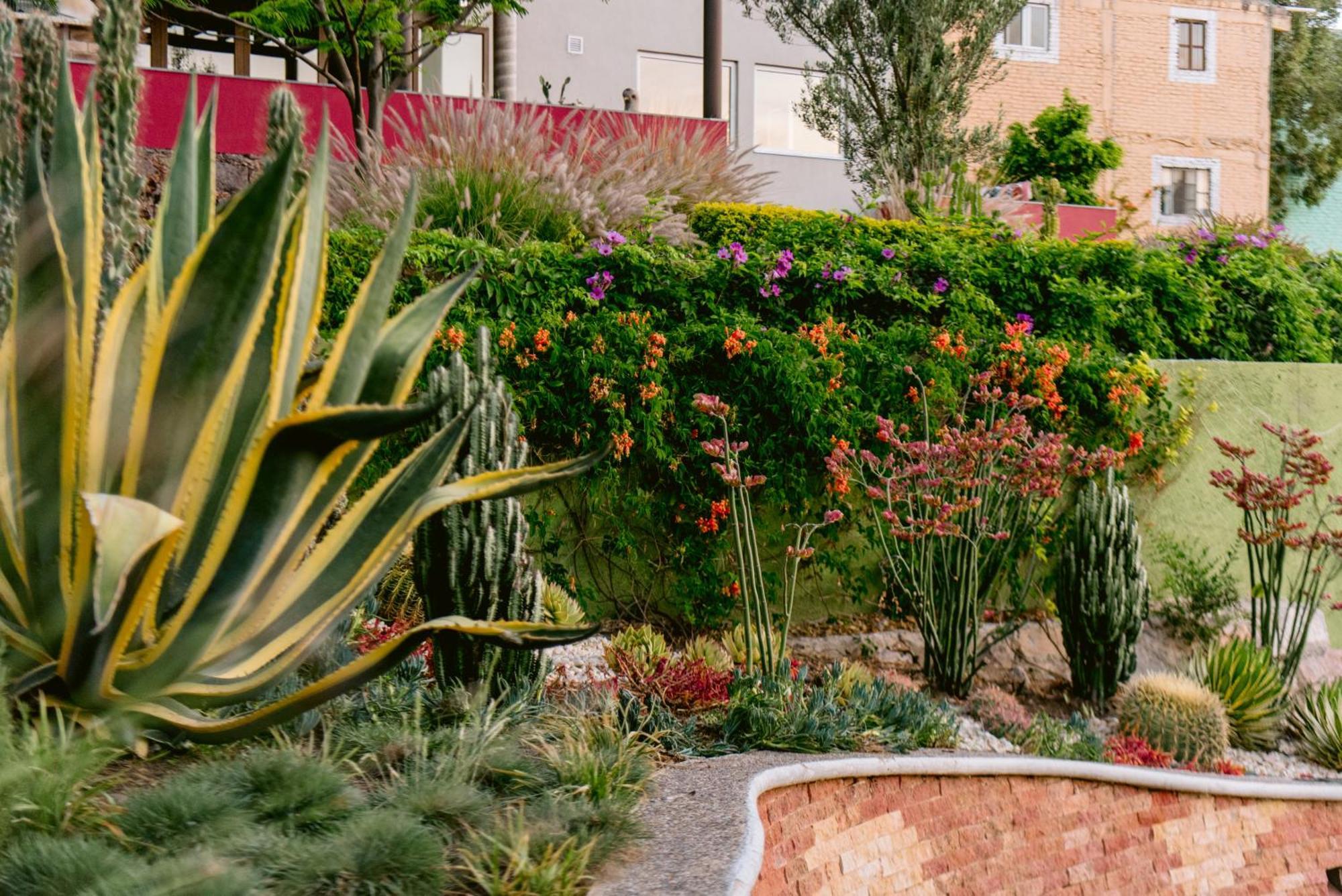 Terra Vista Apart otel Guanajuato Dış mekan fotoğraf